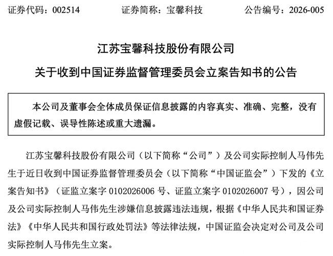 宝馨科技因信披违规被立案调查,股价波动加剧 宝馨科技因信披违规被立案调查,股价波动加剧